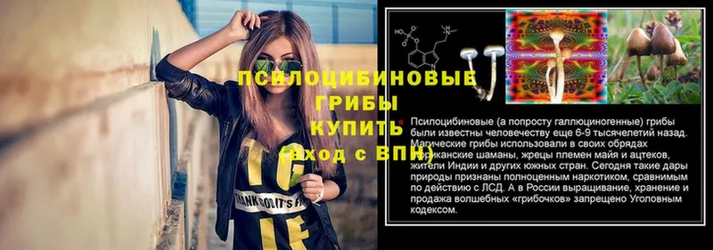 Псилоцибиновые грибы Psilocybine cubensis  mega ссылки  Андреаполь  площадка как зайти  закладки 